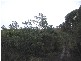 40106 Tasman Highway, Nunamara TAS 7259