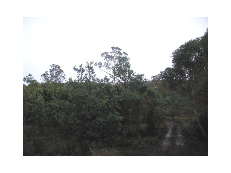 40106 Tasman Highway, Nunamara TAS 7259