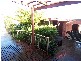 5 Maxwell Place, West Launceston TAS 7250