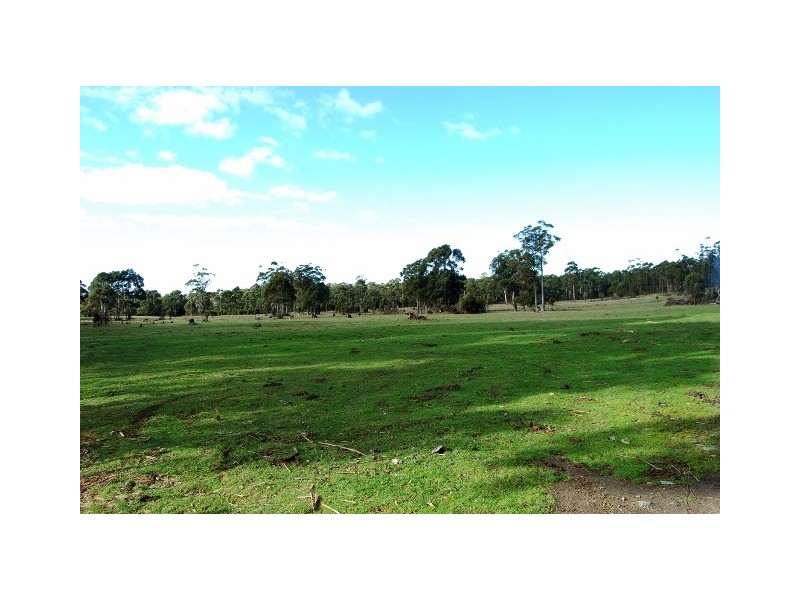 Blackwood Creek TAS 7301