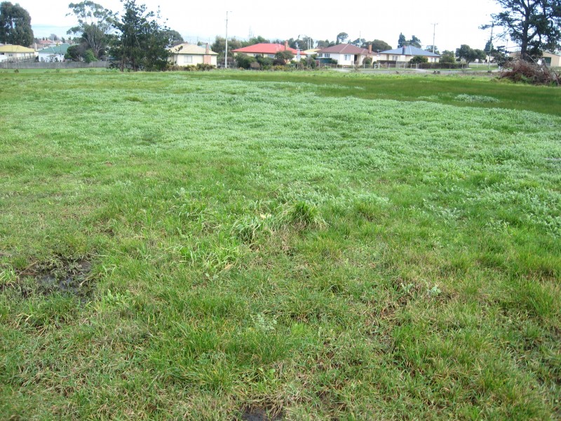 George Town TAS 7253