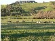 43 Turkey Farm Road, Glengarry TAS 7275