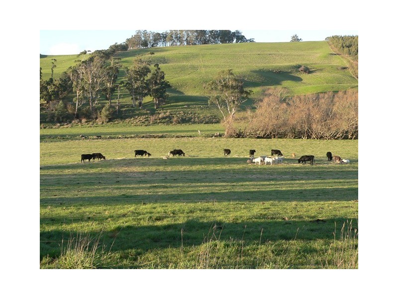 43 Turkey Farm Road, Glengarry TAS 7275