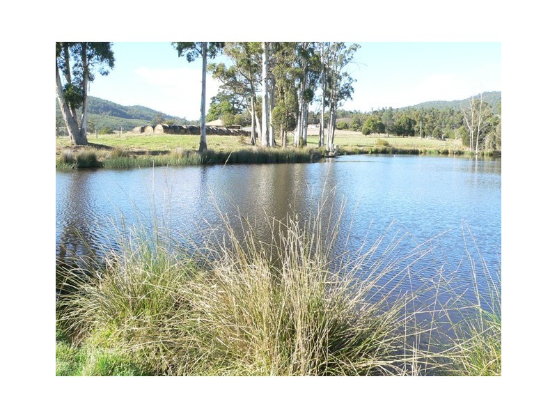 43 Turkey Farm Road, Glengarry TAS 7275