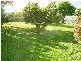 67 Hart Street, Newstead TAS 7250