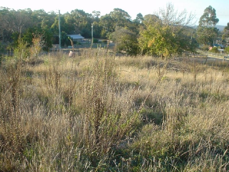 Beaconsfield TAS 7270