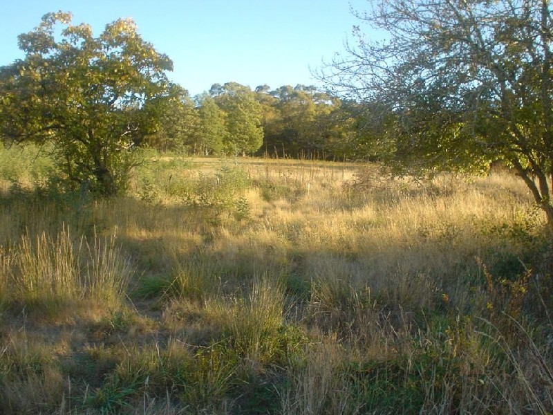 Beaconsfield TAS 7270