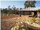 85 Inkerman Street, Triabunna TAS 7190