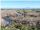 926 Pateena Road, Longford TAS 7301