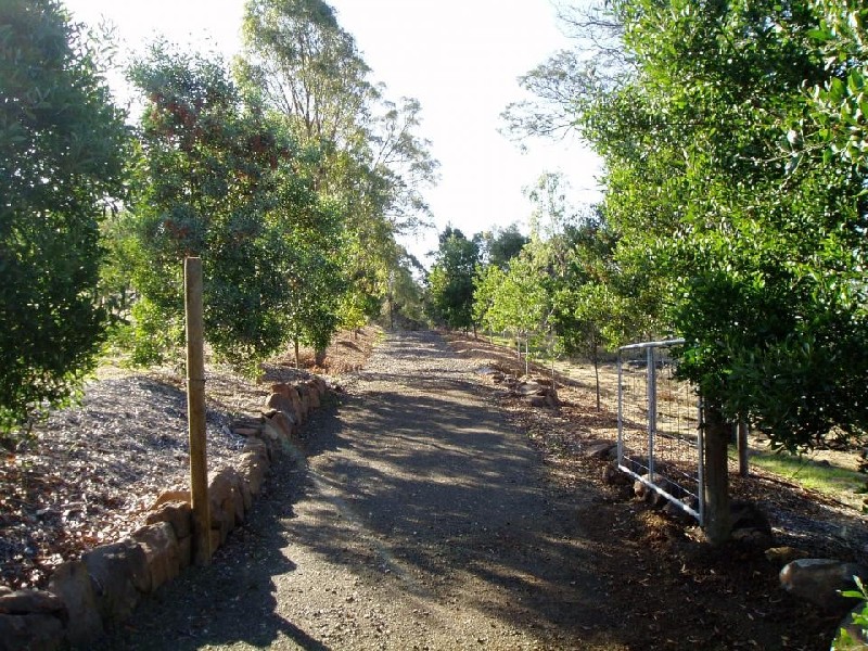 11a Bradys Lookout Road, Rosevears TAS 7277