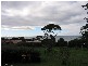 14 Barrett Street, Bicheno TAS 7215
