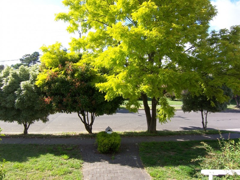 31 Parklands Parade, Newnham TAS 7248