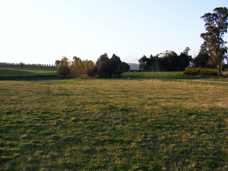 Deloraine TAS 7304