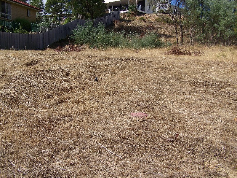 23 Columbus Drive, Blackstone Heights TAS 7250