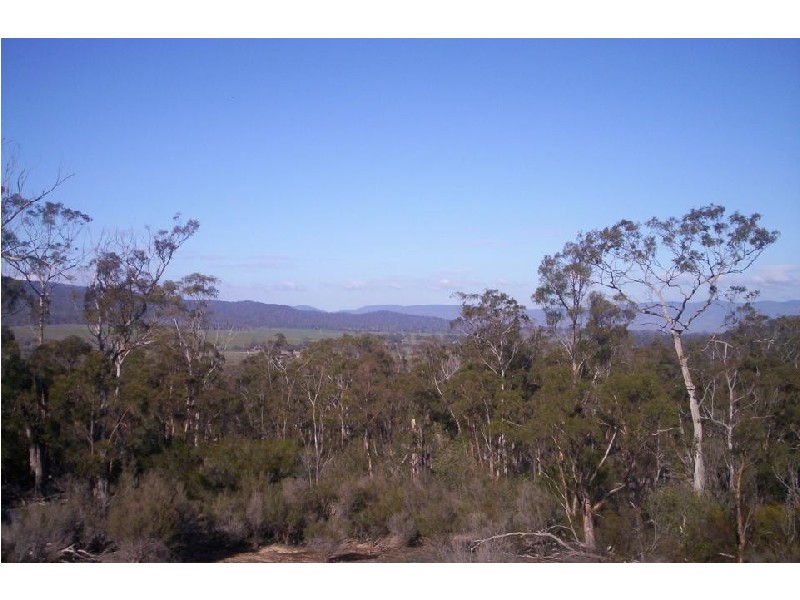 Lot 3 Leona Road, Avoca TAS 7213