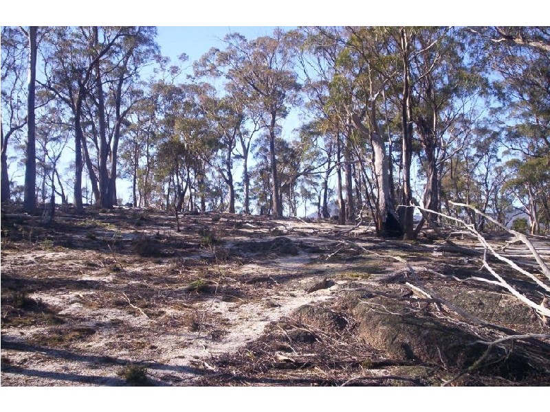 Lot 3 Leona Road, Avoca TAS 7213