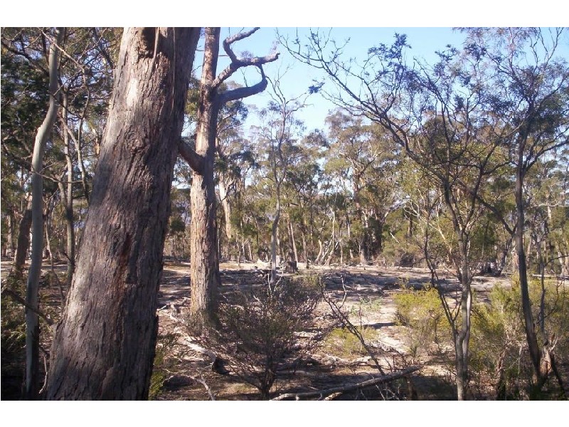 Lot 3 Leona Road, Avoca TAS 7213