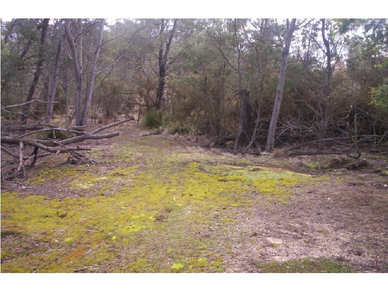 Lot 3 Leona Road, Avoca TAS 7213