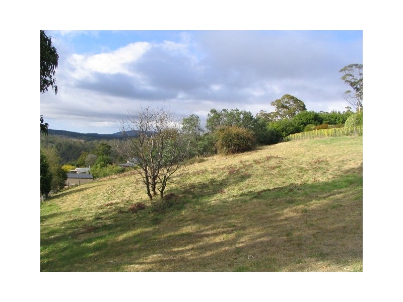 Grindelwald TAS 7277