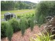 Blackstone Heights TAS 7250