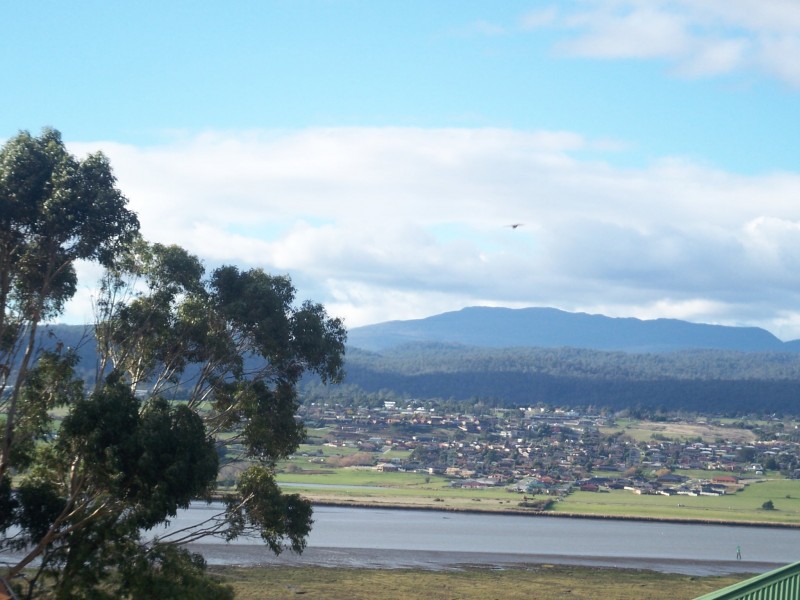 Riverside TAS 7250