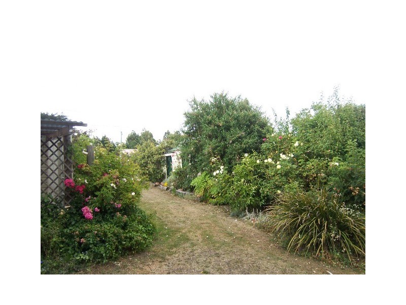 44 Lewis Street, Longford TAS 7301