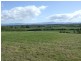 Longford TAS 7301