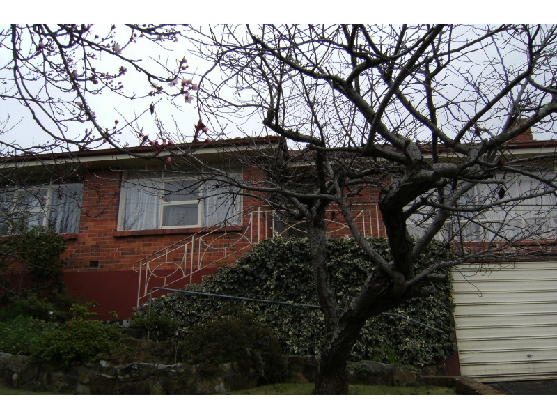 Kings Meadows TAS 7249