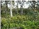 715 Deviot Road, Deviot TAS 7275