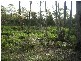 715 Deviot Road, Deviot TAS 7275