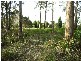 715 Deviot Road, Deviot TAS 7275