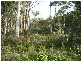 715 Deviot Road, Deviot TAS 7275