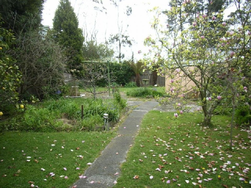 203 Paper Beach Road, Swan Point TAS 7275