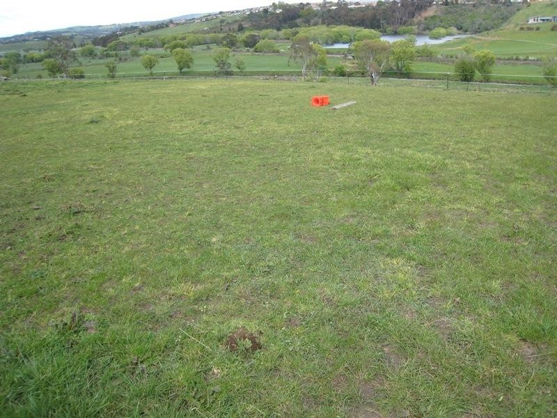 126 St Leonards Road, St Leonards TAS 7250