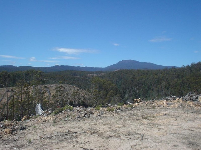 21 Butlers Road, Lilydale TAS 7268