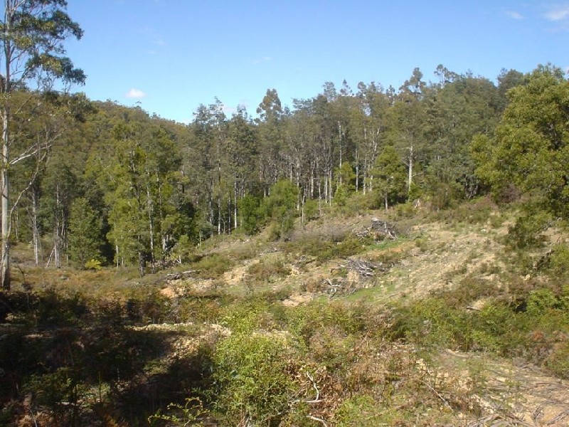 21 Butlers Road, Lilydale TAS 7268