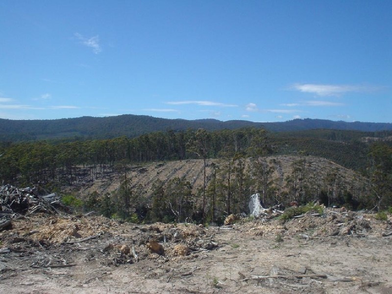 21 Butlers Road, Lilydale TAS 7268