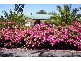 17 Atkinsons Road, Grindelwald TAS 7277