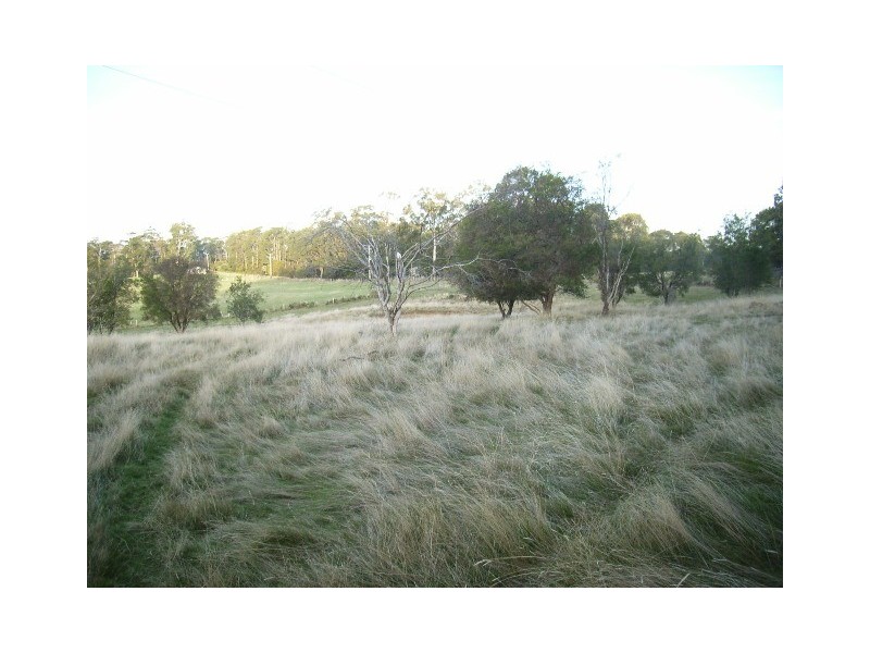 Gravelly Beach TAS 7276