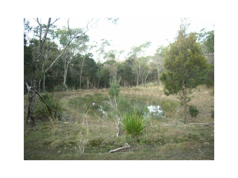 Gravelly Beach TAS 7276