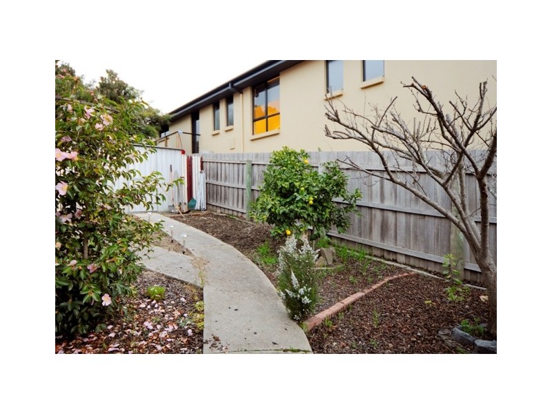 Prospect TAS 7250