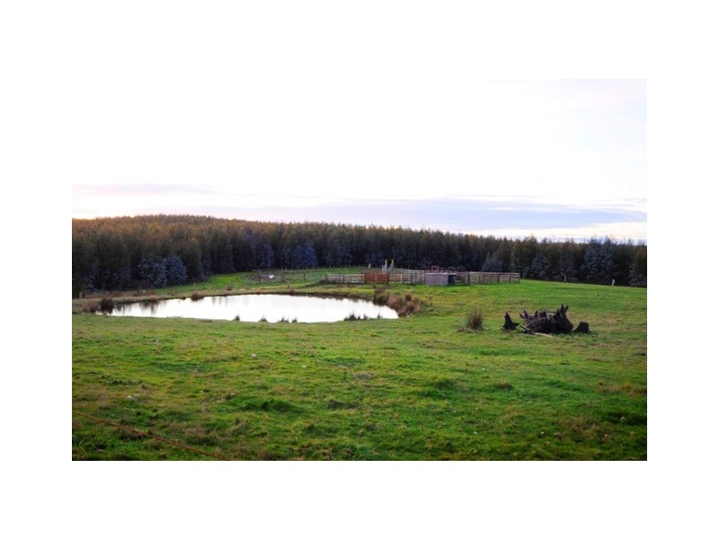 Pipers River TAS 7252