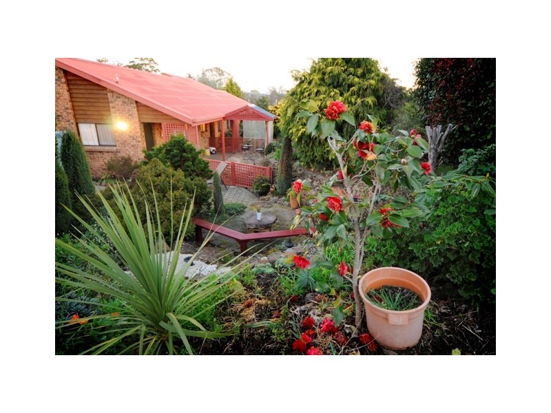 Grindelwald TAS 7277