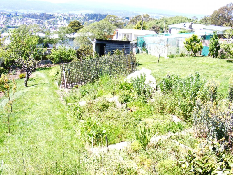 West Launceston TAS 7250