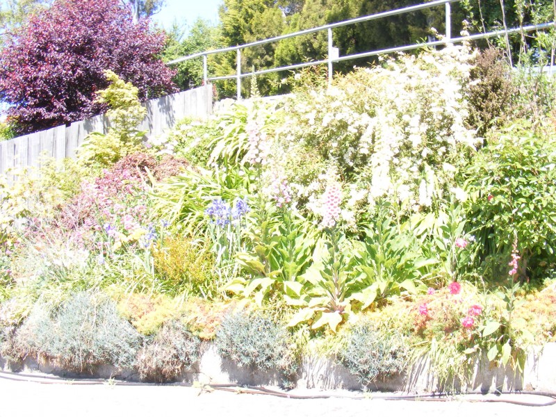 West Launceston TAS 7250