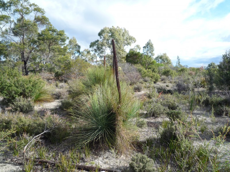 Coles Bay TAS 7215