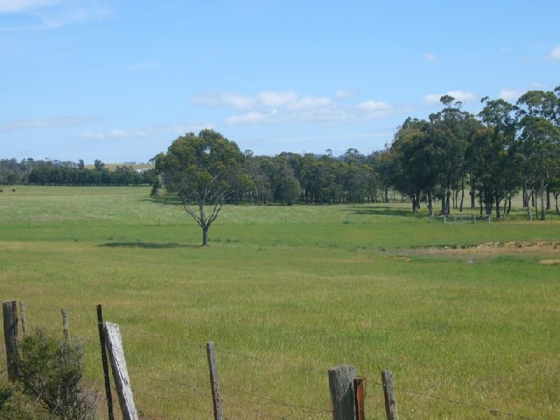 161 Back Creek Road, Pipers River TAS 7252