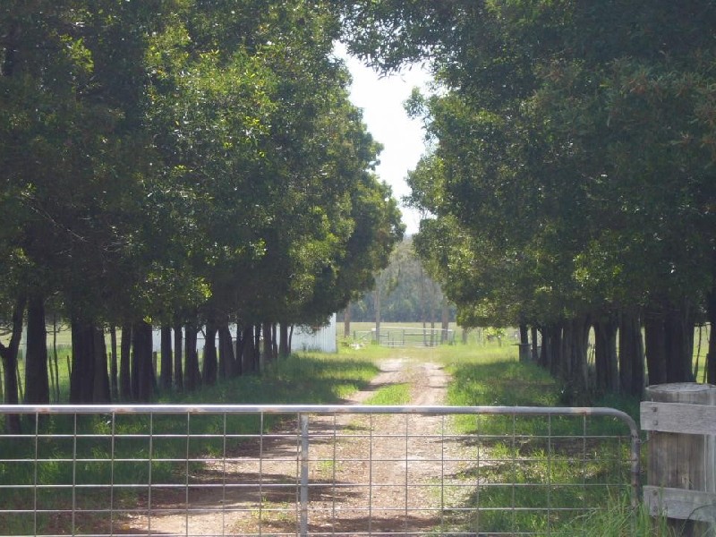 161 Back Creek Road, Pipers River TAS 7252