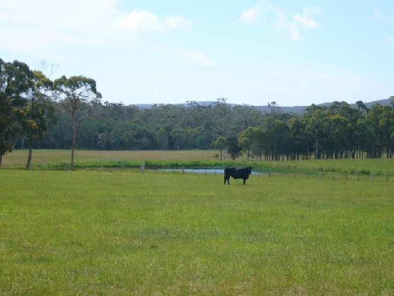 161 Back Creek Road, Pipers River TAS 7252