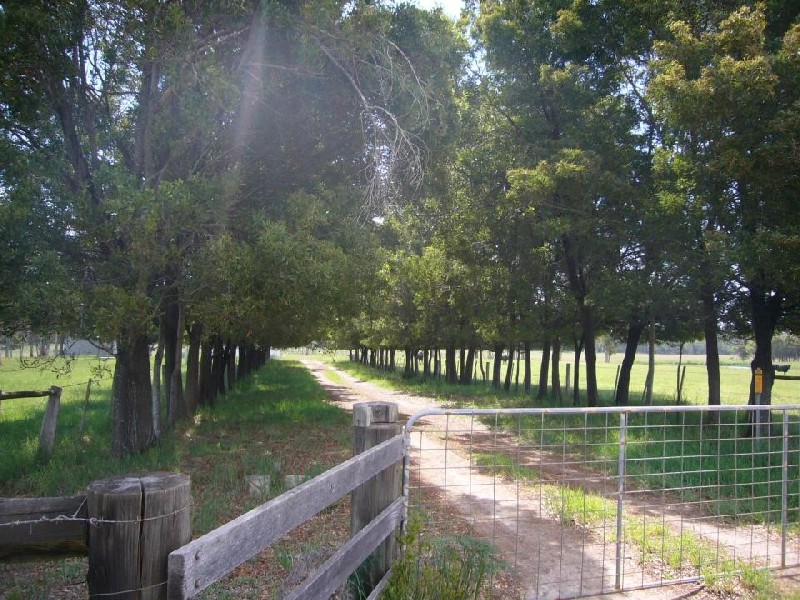 161 Back Creek Road, Pipers River TAS 7252